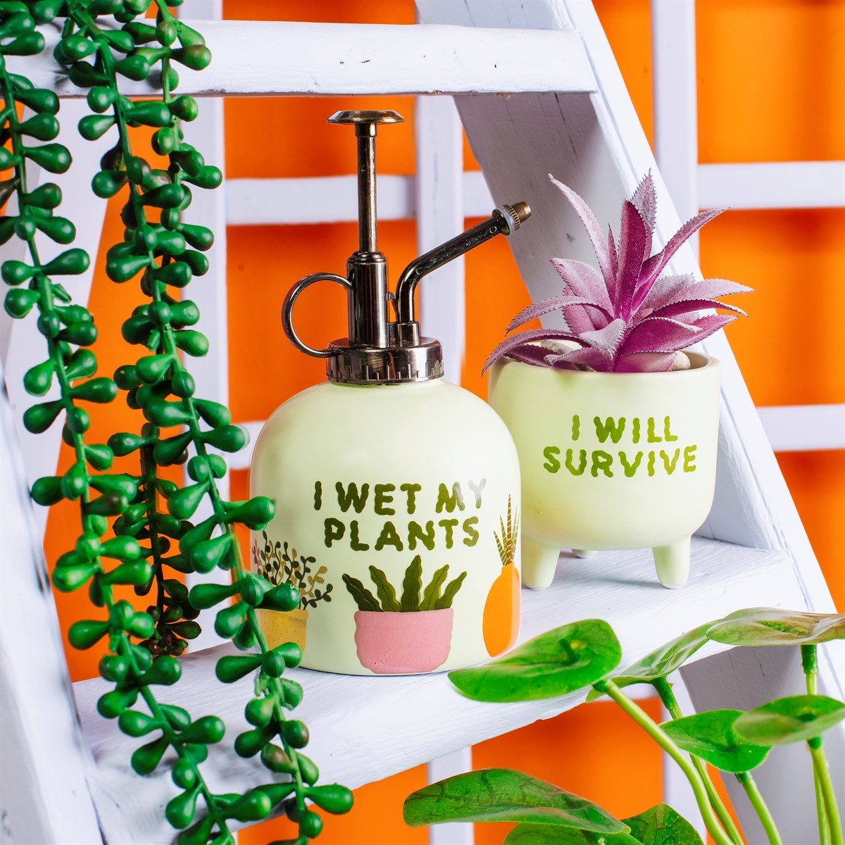 I Wet My Plants Novelty Indoor Plant Mister